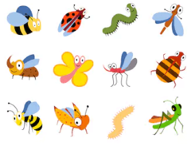4歳 5歳の子供向け 虫が好きな男の子にオススメな昆虫の絵本 共働き家族memo トモメモ